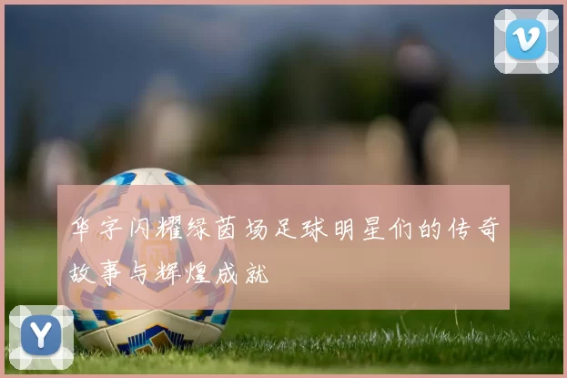 华字闪耀绿茵场足球明星们的传奇故事与辉煌成就