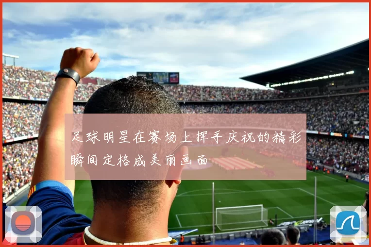 足球明星在赛场上挥手庆祝的精彩瞬间定格成美丽画面