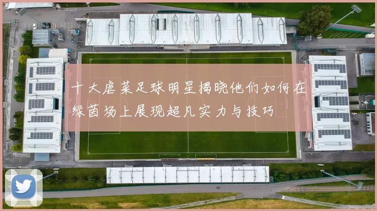 十大虐菜足球明星揭晓他们如何在绿茵场上展现超凡实力与技巧