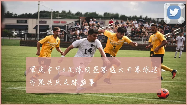肇庆市甲a足球明星赛盛大开幕球迷齐聚共庆足球盛事