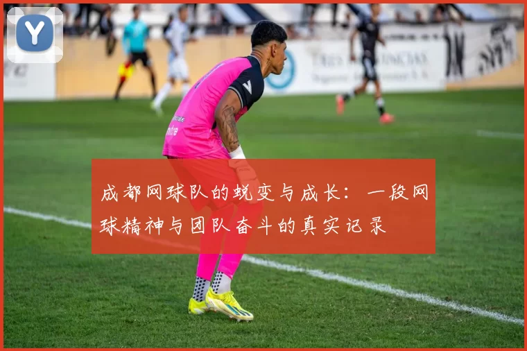 成都网球队的蜕变与成长：一段网球精神与团队奋斗的真实记录